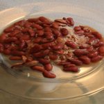 Cajun Red Beans And Rice Recipe