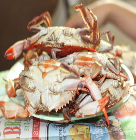 How- to -steam-Blue - cRabs