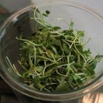 Healthy Micro Greens Salad